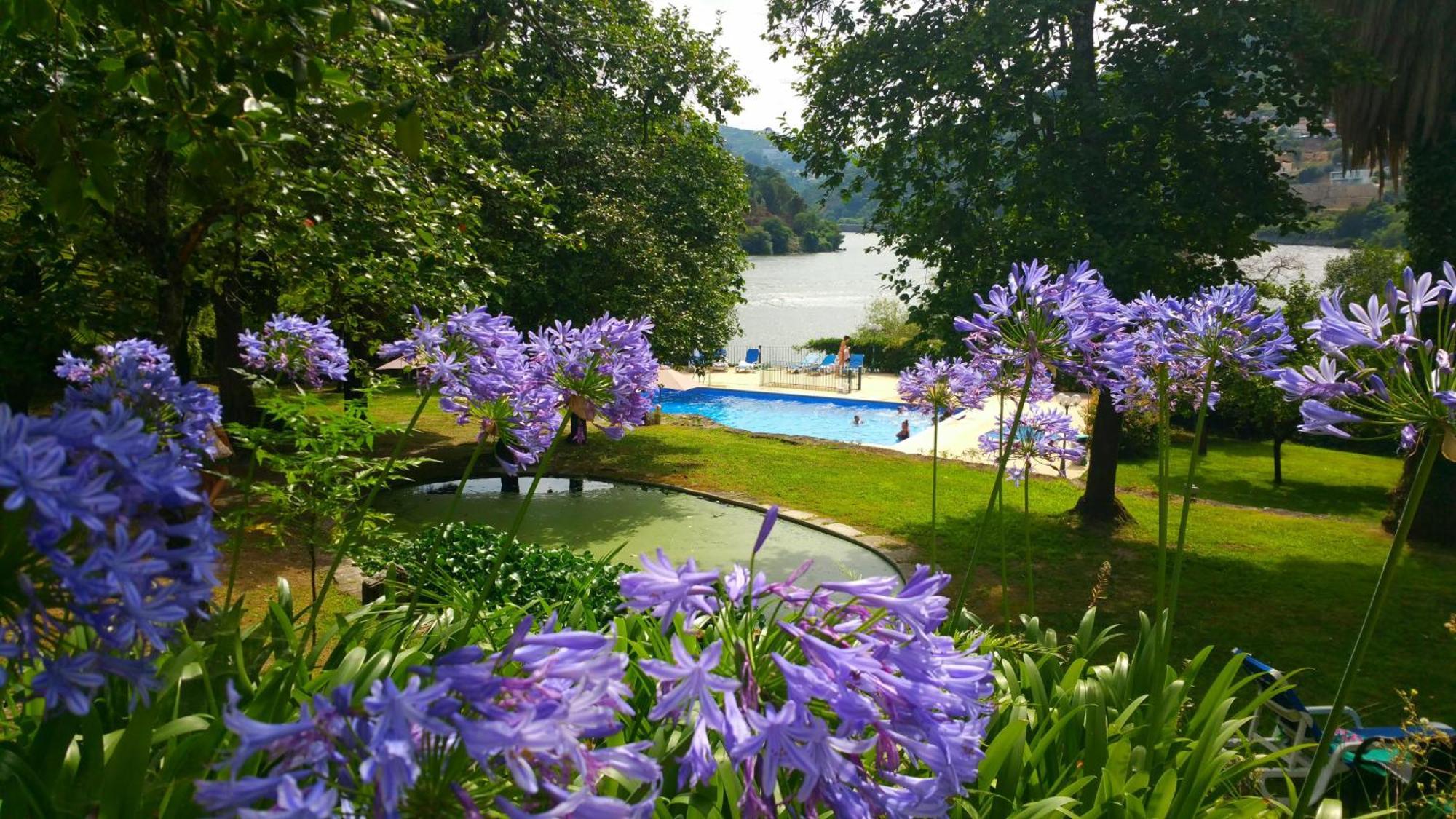 Quinta Da Ermida - Turismo De Habitacao Bed & Breakfast Baiao Exterior photo