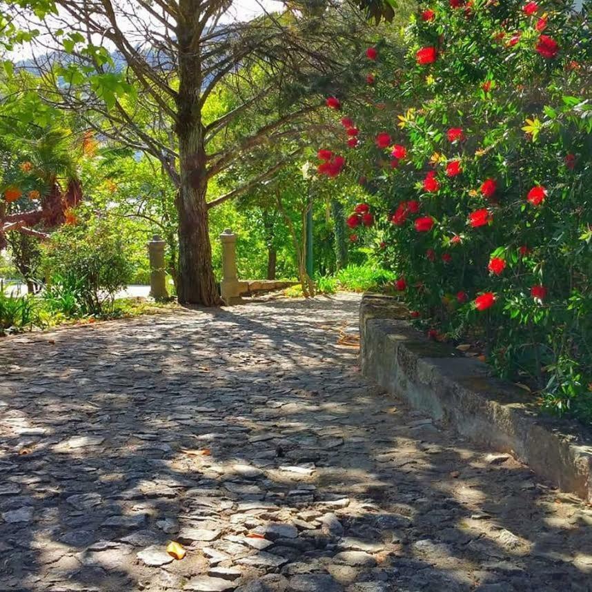 Quinta Da Ermida - Turismo De Habitacao Bed & Breakfast Baiao Exterior photo